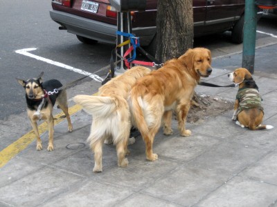 argentinien_originale 017.jpg